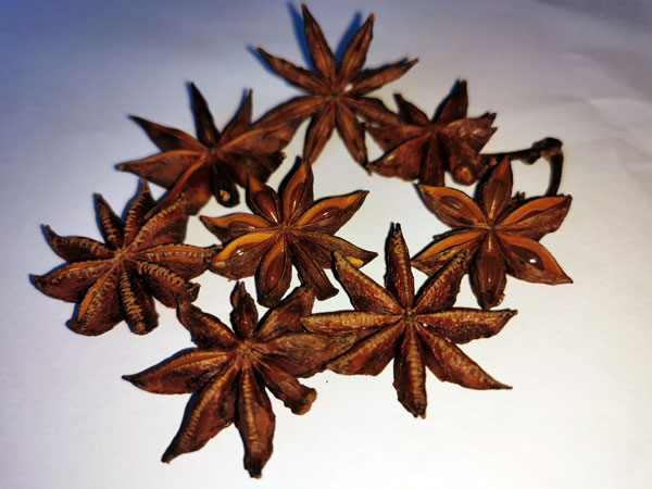 八角茴香别名八角,舶上茴香,大茴香,舶茴香,八角珠,八角香,八角大茴,原油茴,八月珠,大料,五香八角